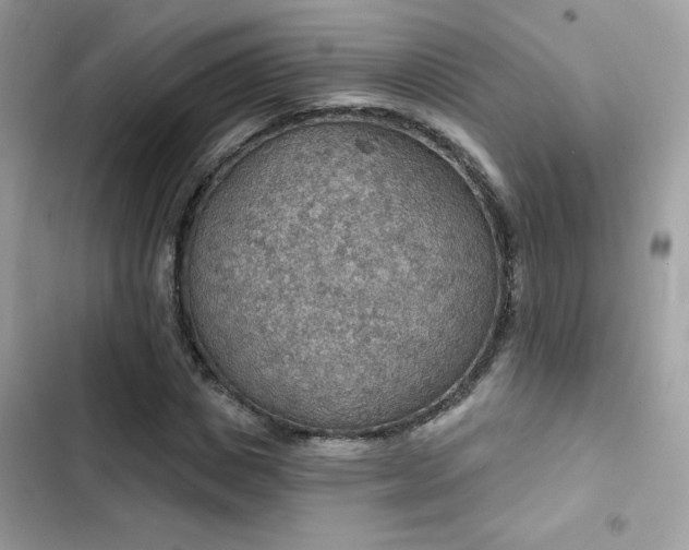 X0000103950825200809191438