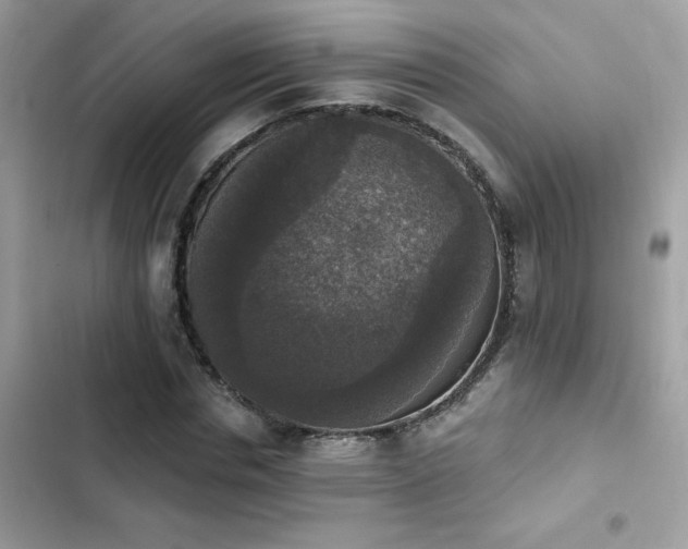 X0000103950826200809191438