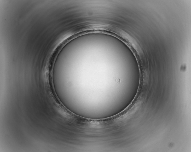 X0000103950827200809191438