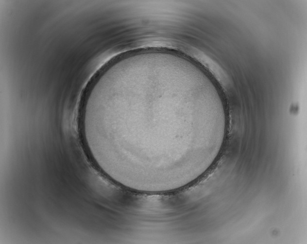 X0000103950828200809191438