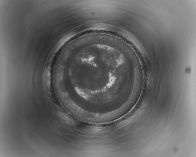 X0000103950829200809191438
