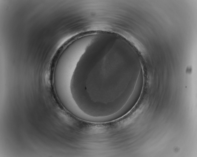 X0000103950830200809191438