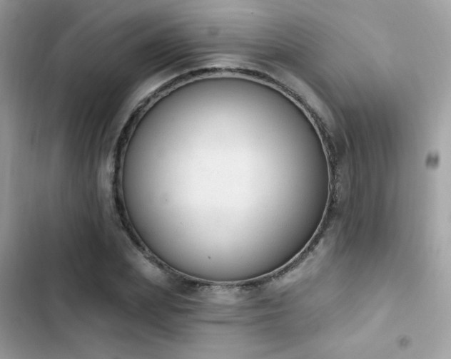 X0000103950831200809191439