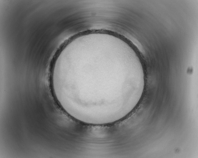 X0000103950832200809191439