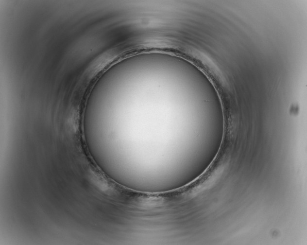 X0000103950833200809191439