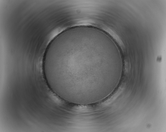 X0000103950834200809191439