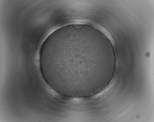 X0000103950835200809191439