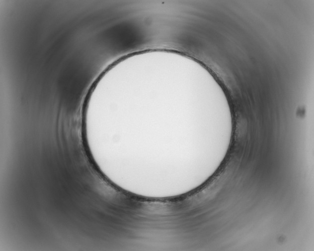 X0000103950836200809191439