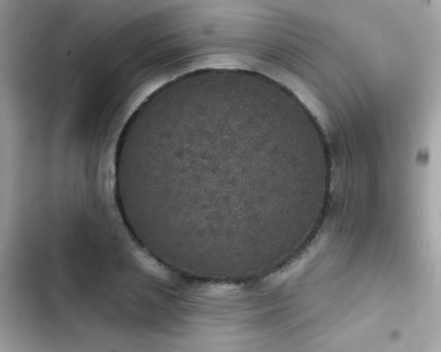 X0000103950837200809191439