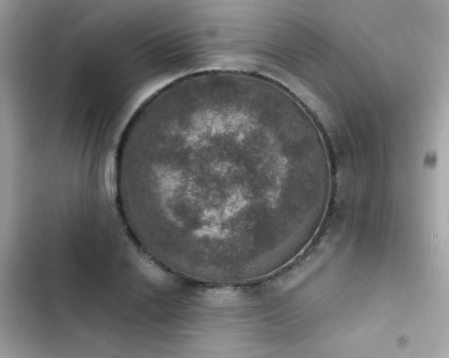 X0000103950838200809191439