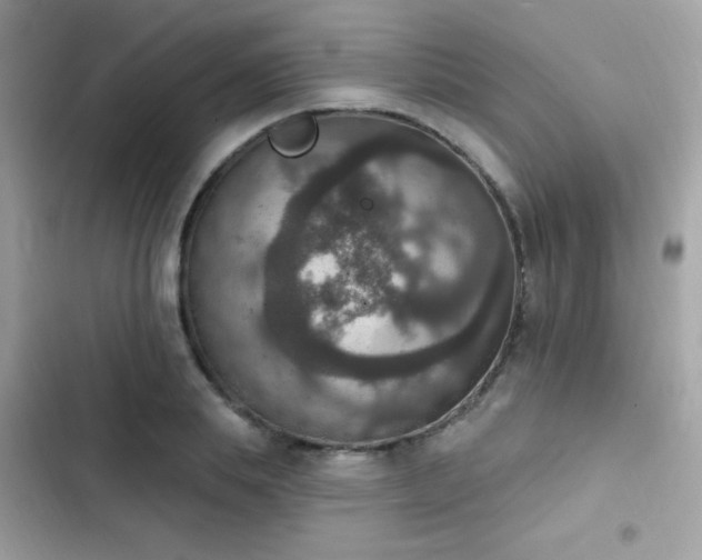 X0000103950839200809191439