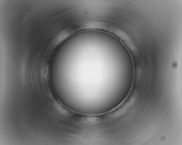 X0000103950841200809191439