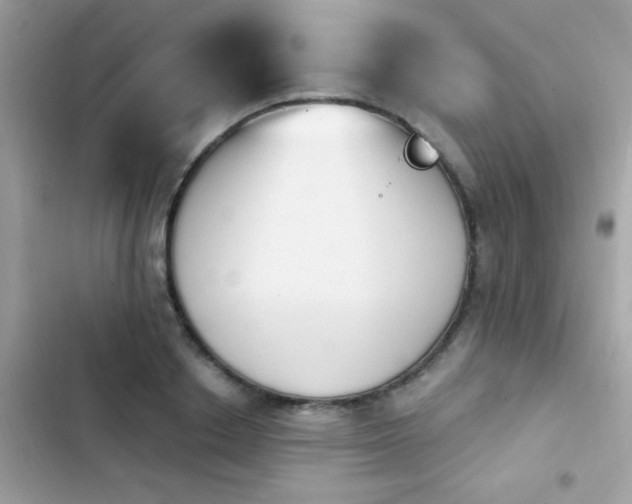 X0000103950842200809191439