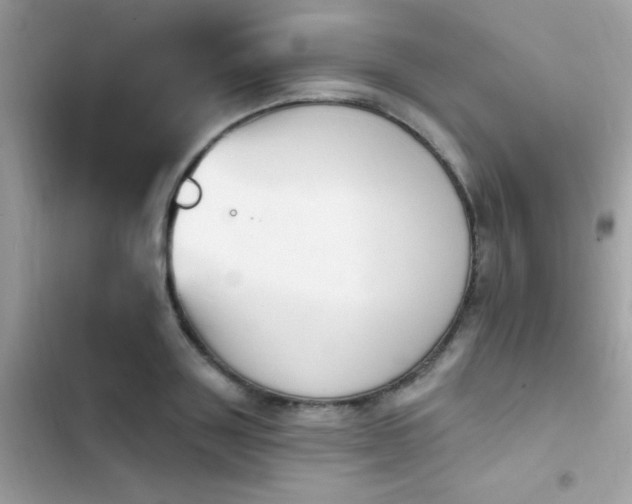 X0000103950843200809191439