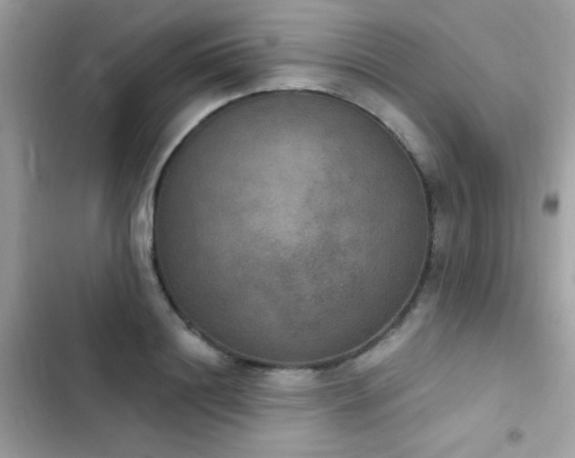 X0000103950844200809191439