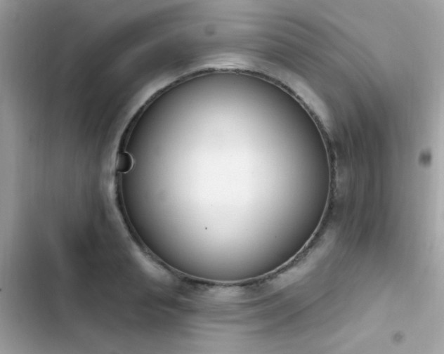 X0000103950845200809191439