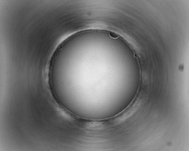 X0000103950846200809191439
