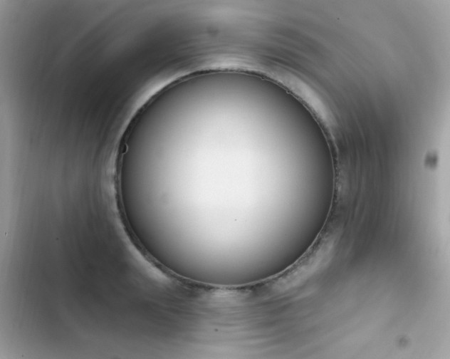X0000103950847200809191439