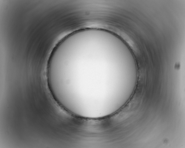 X0000103950848200809191439