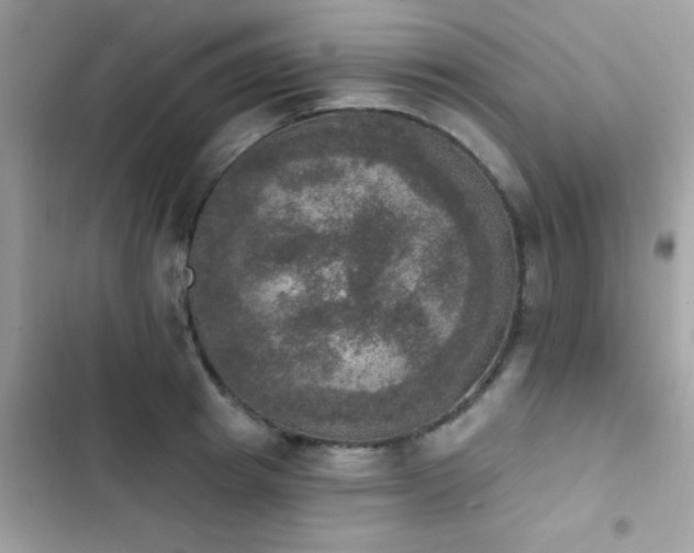 X0000103950849200809191439