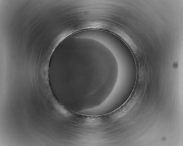 X0000103950850200809191439