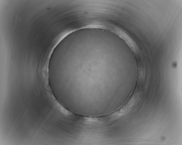 X0000103950852200809191439