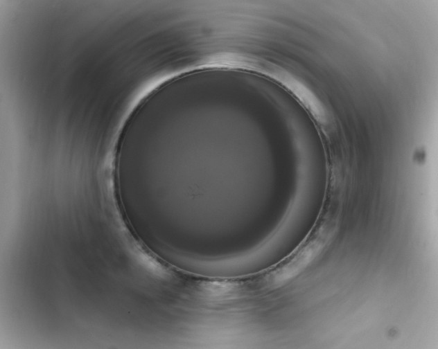 X0000103950854200809191439