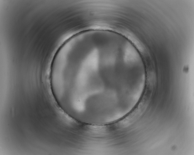 X0000103950856200809191439