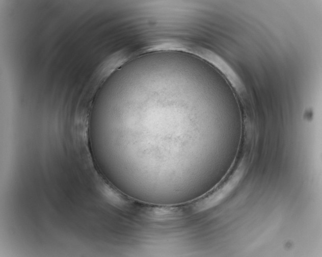 X0000103950857200809191439