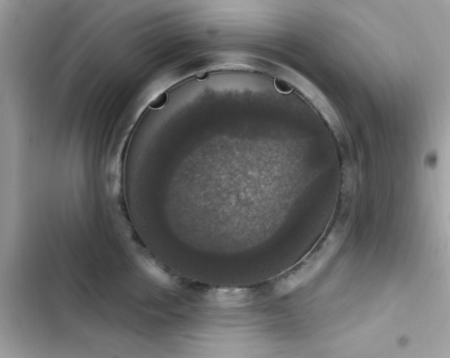 X0000103950858200809191439