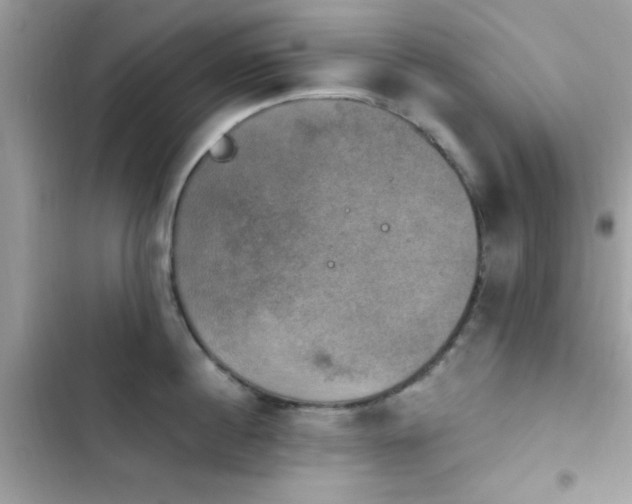 X0000103950860200809191439