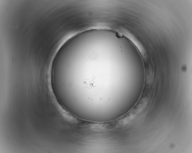 X0000103950861200809191439