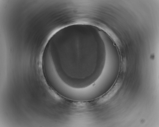 X0000103950862200809191439