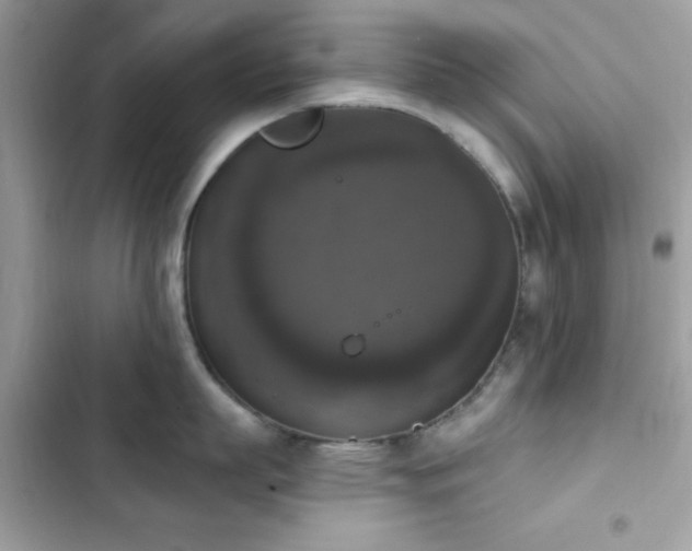 X0000103950863200809191439