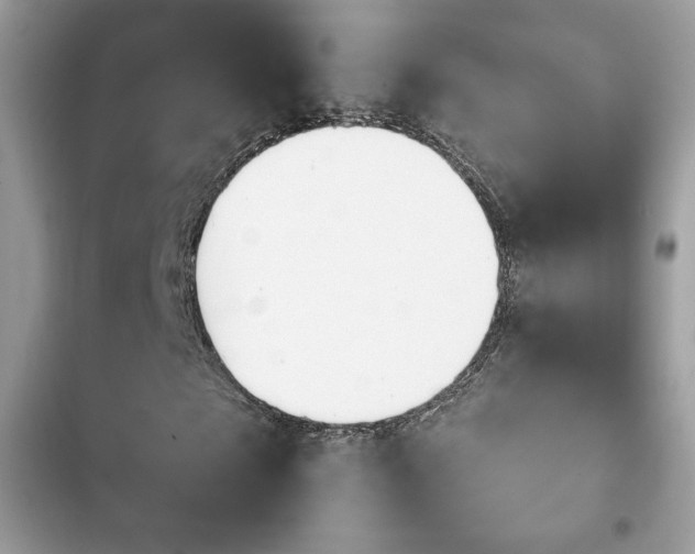 X0000103950865200809191438