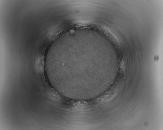 X0000103950868200809191438