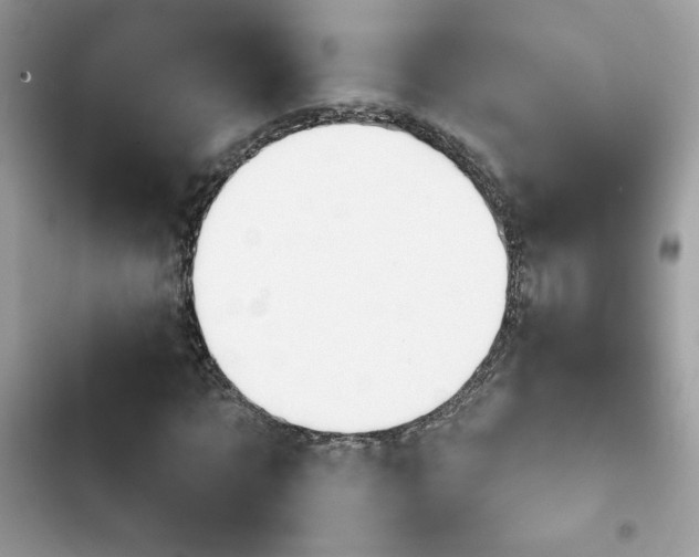 X0000103950869200809191438