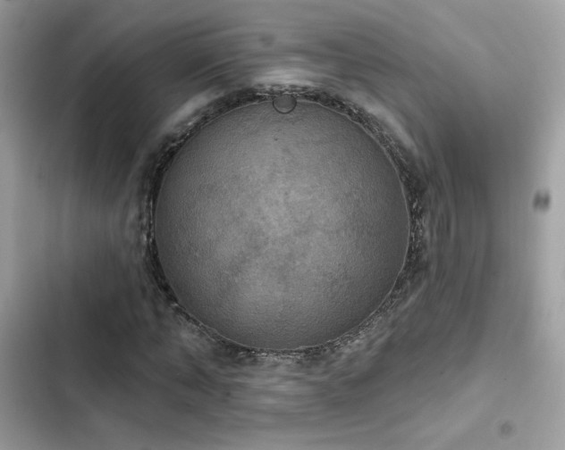 X0000103950870200809191438