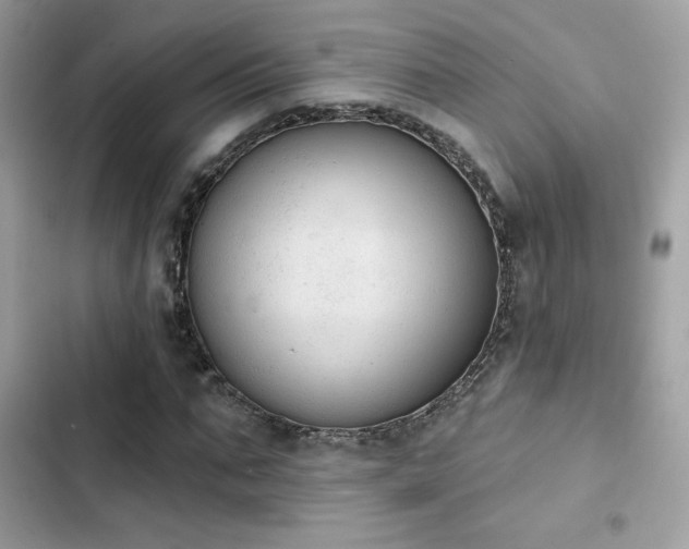 X0000103950871200809191438