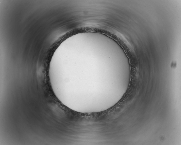 X0000103950872200809191438