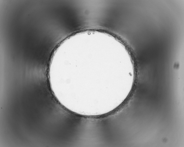 X0000103950873200809191438