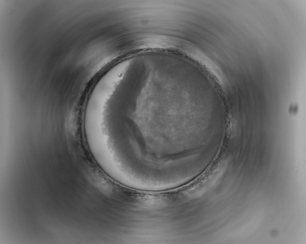 X0000103950874200809191438