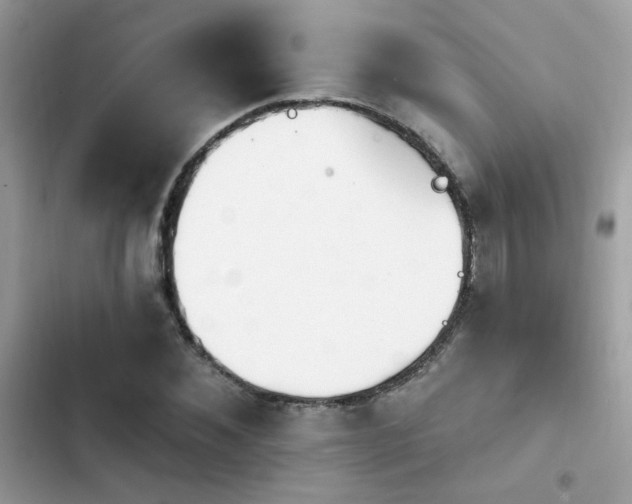 X0000103950876200809191438