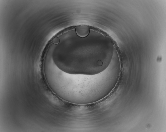 X0000103950879200809191438