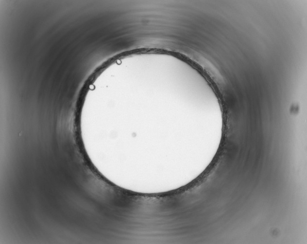 X0000103950880200809191438