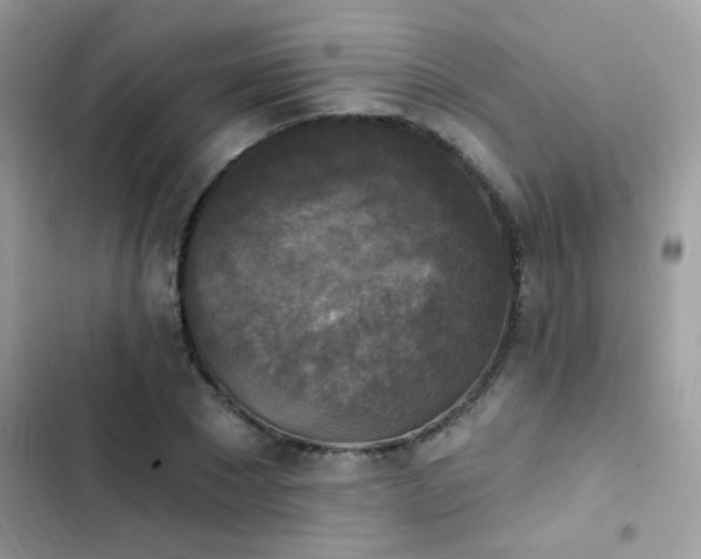 X0000103950881200809191438
