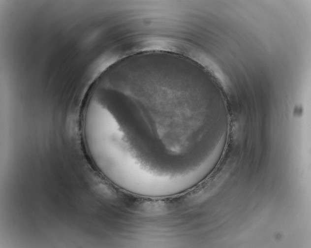 X0000103950882200809191438