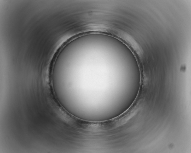 X0000103950883200809191438