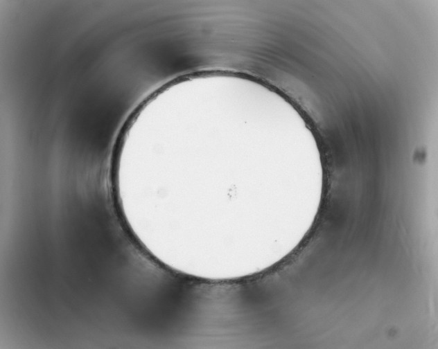 X0000103950884200809191438