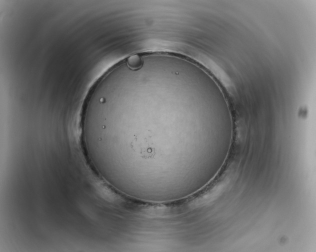 X0000103950885200809191438